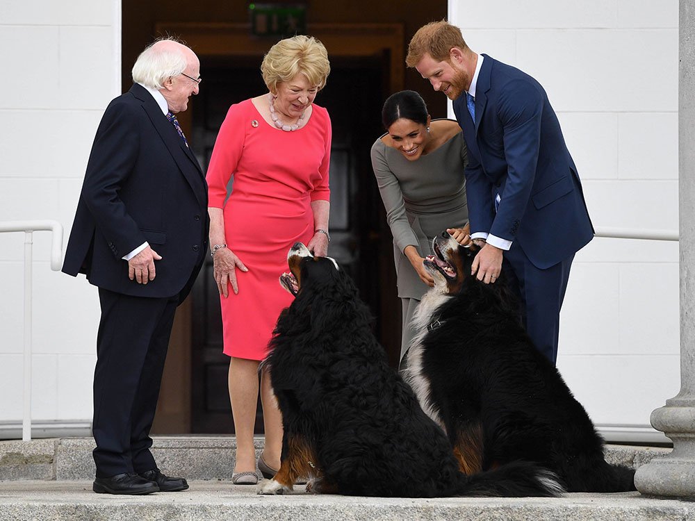 Meghan Markle adore les animaux… et ils le lui rendent bien.